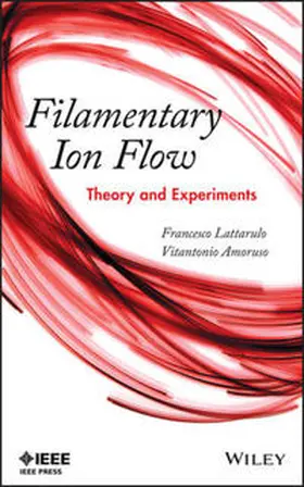 Lattarulo / Amoruso |  Filamentary Ion Flow | eBook | Sack Fachmedien