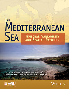 Borzelli / Gacic / Lionello |  The Mediterranean Sea: Temporal Variability and Spatial Patterns | Buch |  Sack Fachmedien
