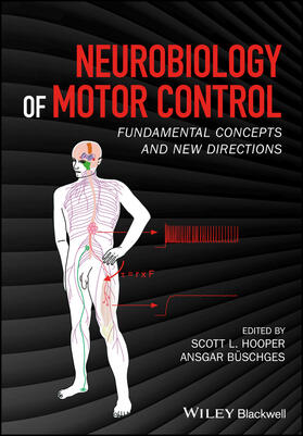 Hooper / Büschges |  Neurobiology of Motor Control | Buch |  Sack Fachmedien