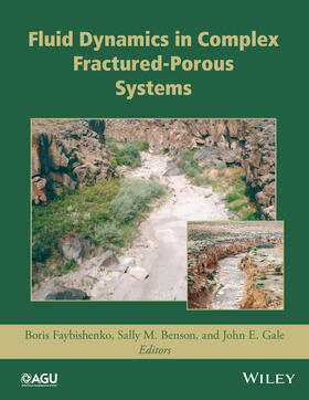 Faybishenko / Benson / Gale |  Dynamics of Fluids and Transport in Complex Fractured-Porous Systems | Buch |  Sack Fachmedien