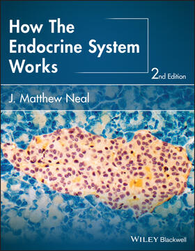 Neal |  How the Endocrine System Works | Buch |  Sack Fachmedien