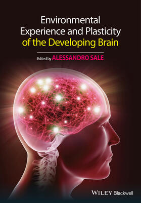 Sale |  Environmental Experience and Plasticity of the Developing Brain | Buch |  Sack Fachmedien