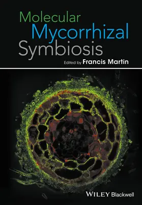 Martin |  Molecular Mycorrhizal Symbiosis | Buch |  Sack Fachmedien