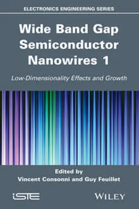 Consonni / Feuillet |  Wide Band Gap Semiconductor Nanowires for Optical Devices | eBook | Sack Fachmedien