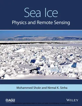 Shokr / Sinha |  Sea Ice | eBook | Sack Fachmedien