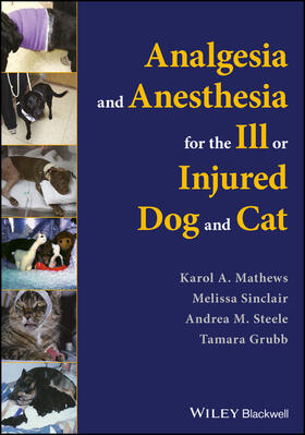 Mathews / Sinclair / Steele |  Analgesia and Anesthesia for the Ill or Injured Dog and Cat | Buch |  Sack Fachmedien