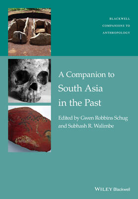 Schug / Walimbe |  A Companion to South Asia in the Past | Buch |  Sack Fachmedien