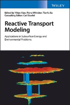 Xiao / Whitaker / Xu |  Reactive Transport Modeling | eBook | Sack Fachmedien