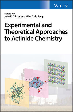 Gibson / de Jong |  Experimental and Theoretical Approaches to Actinide Chemistry | Buch |  Sack Fachmedien
