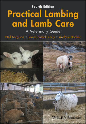 Sargison / Crilly / Hopker |  Practical Lambing and Lamb Care | Buch |  Sack Fachmedien