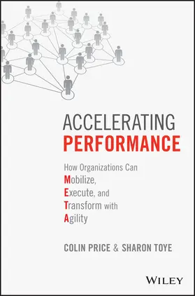 Price / Toye |  Accelerating Performance | Buch |  Sack Fachmedien