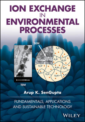 SenGupta |  Ion Exchange in Environmental Processes | Buch |  Sack Fachmedien