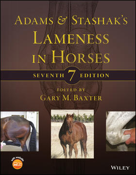 Baxter |  Adams and Stashak's Lameness in Horses | Buch |  Sack Fachmedien