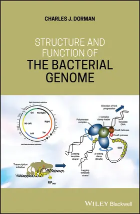 Dorman |  Structure and Function of the Bacterial Genome | Buch |  Sack Fachmedien