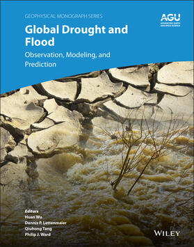 Wu / Lettenmaier / Tang |  Global Drought and Flood | Buch |  Sack Fachmedien