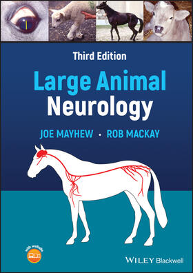 Mayhew / MacKay |  Large Animal Neurology | Buch |  Sack Fachmedien