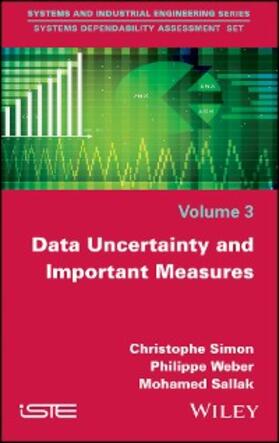 Simon / Weber / Sallak |  Data Uncertainty and Important Measures | eBook | Sack Fachmedien