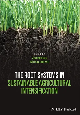 Rengel / Djalovic |  The Root Systems in Sustainable Agricultural Intensification | Buch |  Sack Fachmedien