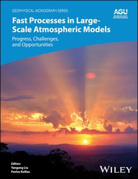 Kollias / Liu / Donner |  Fast Processes in Large-Scale Atmospheric Models | Buch |  Sack Fachmedien