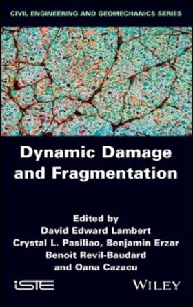 Lambert / Pasiliao / Erzar |  Dynamic Damage and Fragmentation | eBook | Sack Fachmedien