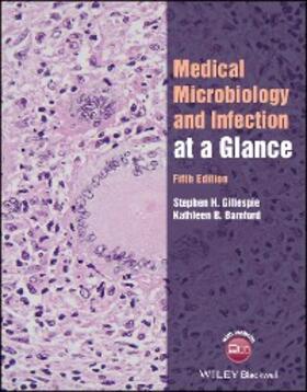 Gillespie / Bamford |  Medical Microbiology and Infection at a Glance | eBook | Sack Fachmedien