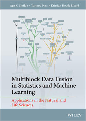 Smilde / Næs / Liland |  Multiblock Data Fusion in Statistics and Machine Learning | Buch |  Sack Fachmedien