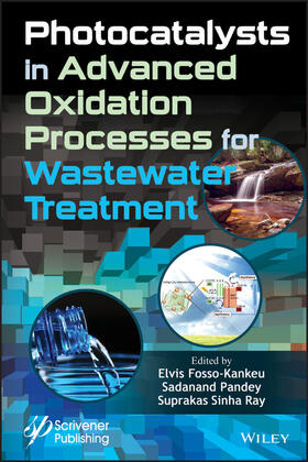 Fosso-Kankeu / Pandey / Ray |  Photocatalysts in Advanced Oxidation Processes for Wastewater Treatment | Buch |  Sack Fachmedien