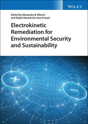 Ribeiro / Prasad |  Electrokinetic Remediation for Environmental Security and Sustainability | Buch |  Sack Fachmedien