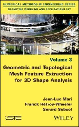 Mari / Hetroy-Wheeler / Subsol |  Geometric and Topological Mesh Feature Extraction for 3D Shape Analysis | eBook | Sack Fachmedien