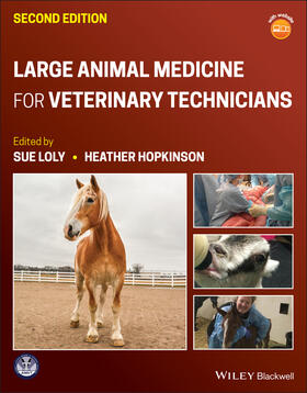 Hopkinson / Loly |  Large Animal Medicine for Veterinary Technicians | Buch |  Sack Fachmedien