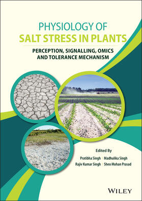Singh / Prasad |  Physiology of Salt stress in Plants | Buch |  Sack Fachmedien