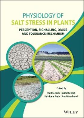Singh / Prasad |  Physiology of Salt Stress in Plants | eBook | Sack Fachmedien