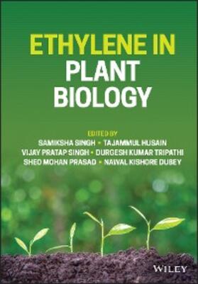 Singh / Husain / Tripathi |  Ethylene in Plant Biology | eBook | Sack Fachmedien