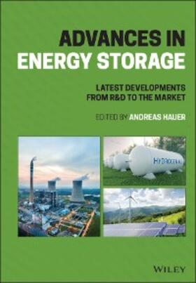 Hauer | Advances in Energy Storage | E-Book | sack.de
