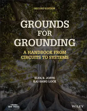 Joffe / Lock |  Grounds for Grounding | Buch |  Sack Fachmedien