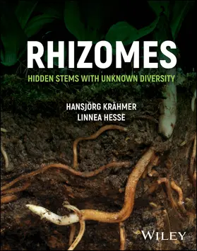 Kraehmer / Hesse |  Rhizomes | Buch |  Sack Fachmedien