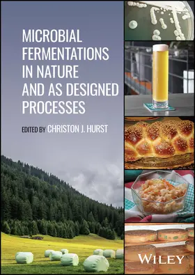 Hurst |  Microbial Fermentations in Nature and as Designed Processes | Buch |  Sack Fachmedien