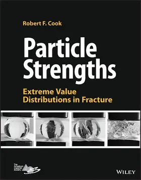 Cook |  Particle Strengths | Buch |  Sack Fachmedien