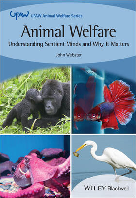 Webster |  Animal Welfare | Buch |  Sack Fachmedien