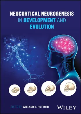 Huttner |  Neocortical Neurogenesis in Development and Evolution | Buch |  Sack Fachmedien