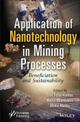 Fosso-Kankeu / Mkandawire / Mamba |  Application of Nanotechnology in Mining Processes | Buch |  Sack Fachmedien