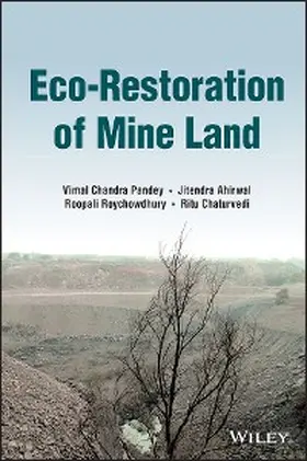 Pandey / Ahirwal / Roychowdhury |  Eco-Restoration of Mine Land | eBook | Sack Fachmedien