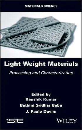 Kumar / Babu / Davim |  Light Weight Materials | eBook | Sack Fachmedien