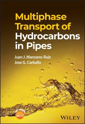 Manzano-Ruiz / Carballo |  Multiphase Transport of Hydrocarbons in Pipes | Buch |  Sack Fachmedien