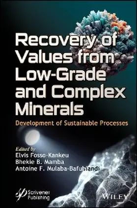 Fosso-Kankeu / Mamba / Mulaba-Bafubiandi |  Recovery of Values from Low-Grade and Complex Minerals | eBook | Sack Fachmedien