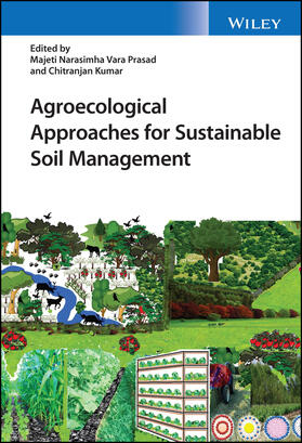 Prasad / Kumar |  Agroecological Approaches for Sustainable Soil Management | Buch |  Sack Fachmedien