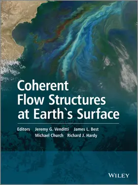 Venditti / Best / Church |  Coherent Flow Structures at Earth's Surface | Buch |  Sack Fachmedien