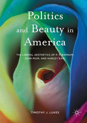 Lukes |  Politics and Beauty in America | Buch |  Sack Fachmedien