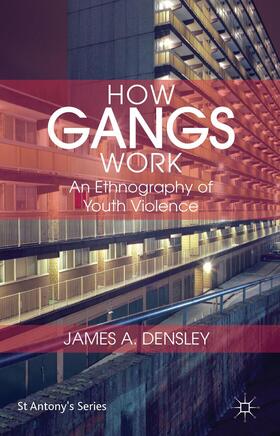 Densley |  How Gangs Work | Buch |  Sack Fachmedien