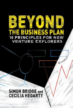 Bridge / Hegarty |  Beyond the Business Plan | Buch |  Sack Fachmedien